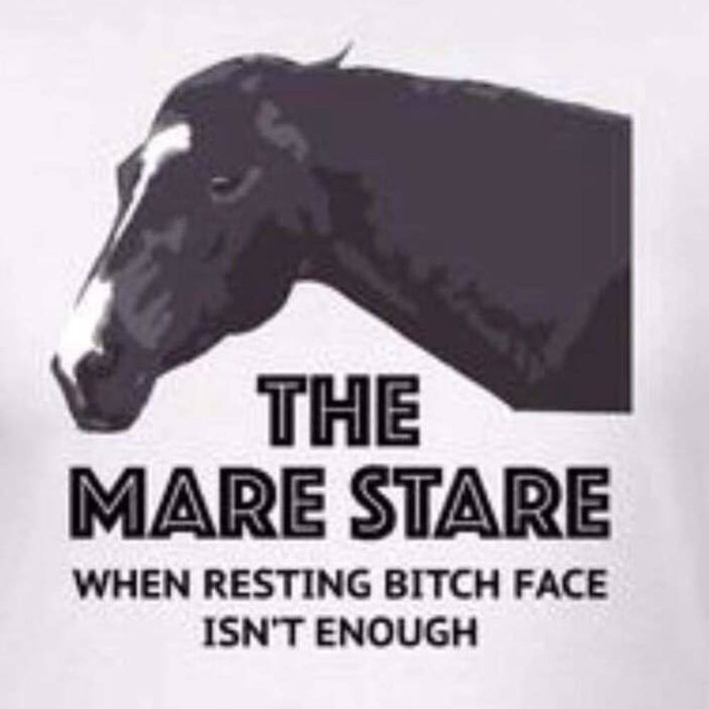 Meet your Posher, Lianne